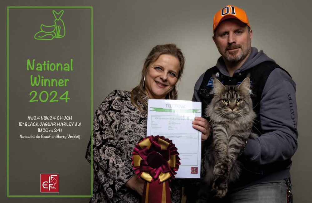 Most reputable breeder